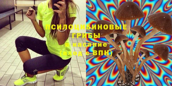 гидра Балахна