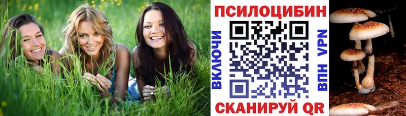 где можно купить наркотик  Гурьевск  Галлюциногенные грибы прущие грибы 